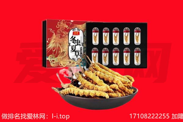 延边回收虫草.jpg